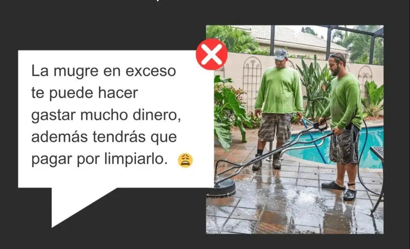Imagen destacada