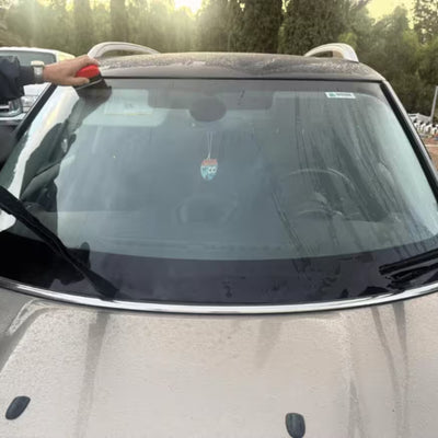 Carlos Eduardo Ramírez